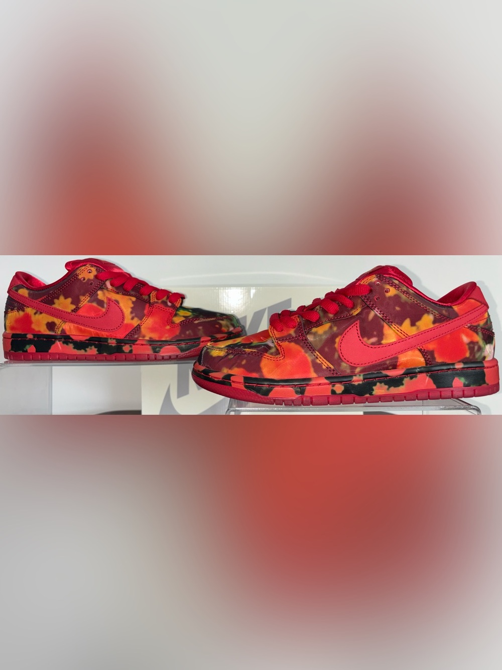 Nike SB Dunk Low The Wizard of Oz Poppy Field Mens Size 7 Brand New With Box